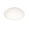Ceiling Light Reality LUKIDA LED white, 1-light source, Remote control
