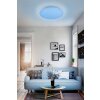 Reality WIZ FARA Ceiling Light LED Glittering, white, 1-light source, Colour changer