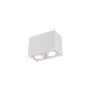 Ceiling Light Trio Leuchten BISCUIT white, 2-light sources
