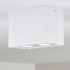 Baishan Ceiling Light LED white, 2-light sources