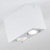 Baishan Ceiling Light LED white, 2-light sources