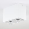 Baishan Ceiling Light LED white, 2-light sources