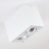Baishan Ceiling Light LED white, 2-light sources