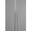 Reality REED Floor Lamp LED matt nickel, 5-light sources