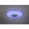 Reality Musica Ceiling Light LED white, 2-light sources, Remote control, Colour changer