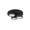 Trio lights Franklin ceiling light LED anthracite, 3-light sources