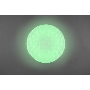 Reality Tiger Ceiling Light LED white, 1-light source, Remote control, Colour changer