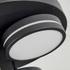 Huallilemu Ceiling Light LED black, 3-light sources