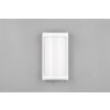 Reality Puelo Outdoor Wall Light white, 1-light source