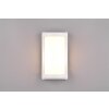 Reality Puelo Outdoor Wall Light white, 1-light source