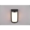 Reality Puelo Outdoor Wall Light black, 1-light source