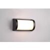 Reality Puelo Outdoor Wall Light black, 1-light source