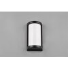 Reality Puelo Outdoor Wall Light black, 1-light source
