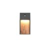 Trio lights SALMON wall light LED Light wood, 1-light source, Motion sensor