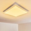VOISINES Ceiling light LED white, 1-light source, Remote control, Colour changer