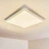 VOISINES Ceiling light LED white, 1-light source, Remote control, Colour changer