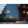 Reality lights PALOMA wall light anthracite, 1-light source, Motion sensor