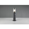 Reality lights PALOMA outdoor floor lamp anthracite, 1-light source, Motion sensor