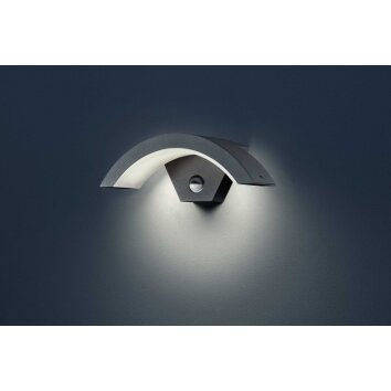 Trio lights Wandleuchte outdoor wall light LED anthracite, 1-light source, Motion sensor