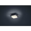 Trio lights Decken- ceiling light, wall light LED anthracite, 1-light source