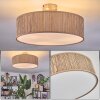 Foggia ceiling light matt nickel, 3-light sources