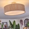 Foggia ceiling light matt nickel, 3-light sources