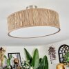 Foggia ceiling light matt nickel, 3-light sources