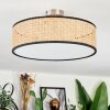 Foggia ceiling light matt nickel, 3-light sources