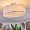Foggia ceiling light matt nickel, 3-light sources