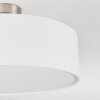 Foggia ceiling light matt nickel, 3-light sources