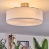 Foggia ceiling light matt nickel, 3-light sources