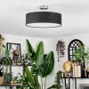 Foggia ceiling light matt nickel, 3-light sources