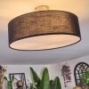 Foggia ceiling light matt nickel, 3-light sources