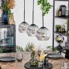 Koyoto hanging light, globe light, pendant light clear, Smoke-coloured, 3-light sources