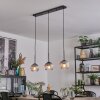 Koyoto hanging light, globe light, pendant light clear, Smoke-coloured, 3-light sources