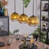 Koyoto hanging light, globe light, pendant light gold, clear, 3-light sources