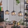 Koyoto hanging light, globe light, pendant light clear, Smoke-coloured, 3-light sources