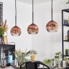 Ripoll hanging light, globe light, pendant light clear, coppery, 3-light sources