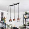 Ripoll hanging light, globe light, pendant light clear, coppery, 3-light sources