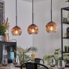 Ripoll hanging light, globe light, pendant light clear, coppery, 3-light sources