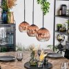 Ripoll hanging light, globe light, pendant light clear, coppery, 3-light sources