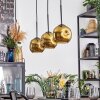 Ripoll hanging light, globe light, pendant light gold, 3-light sources