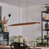 Fugelsta hanging light, pendant light LED black, 1-light source