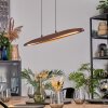 Fugelsta hanging light, pendant light LED black, 1-light source