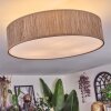 Foggia ceiling light matt nickel, 3-light sources