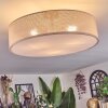 Foggia ceiling light matt nickel, 3-light sources