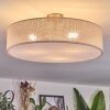 Foggia ceiling light matt nickel, 3-light sources