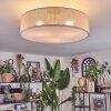 Foggia ceiling light matt nickel, 3-light sources