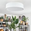 Foggia ceiling light matt nickel, 3-light sources