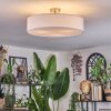 Foggia ceiling light matt nickel, 3-light sources